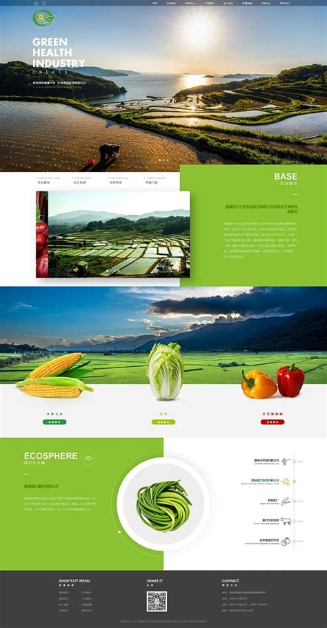 厦门网站设计与开发全攻略 从企业形象策划到官网构建